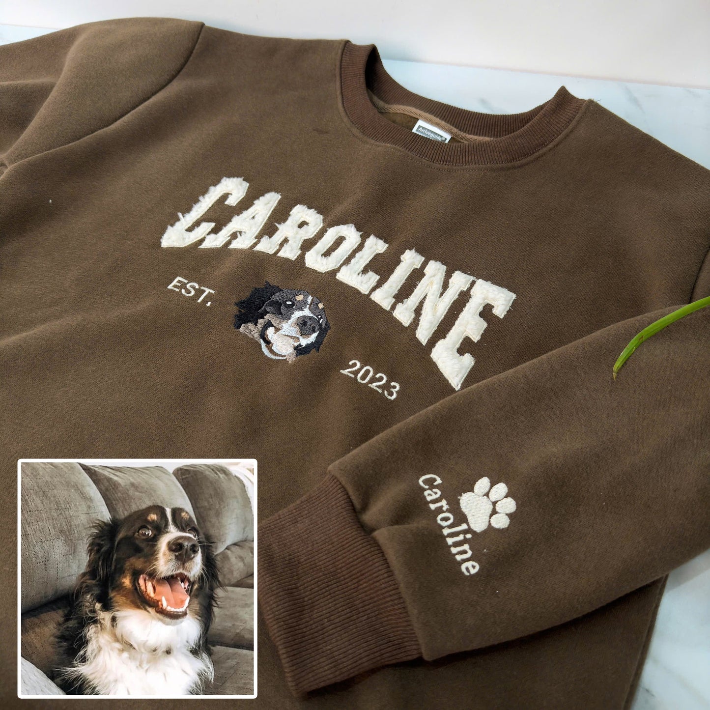 Pet's Photo Personalized Fleece Fabric Embroidered Name Hoodie Sweatshirt T-Shirt