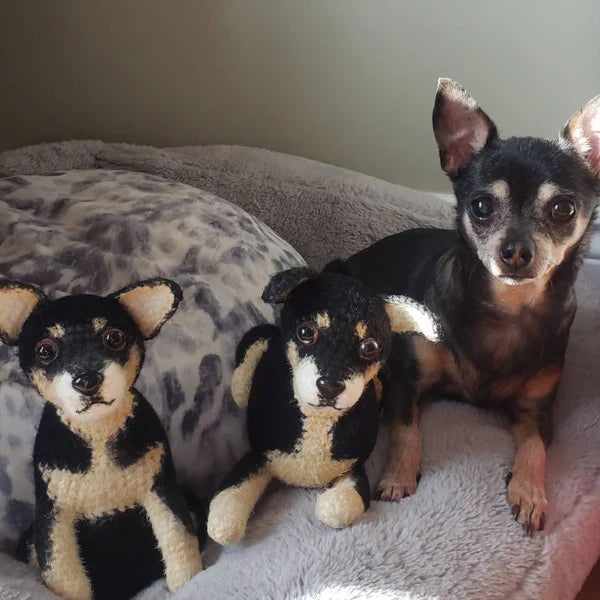 Personalized Crochet Pet Doll – Handmade Plush Replica of Your Pet