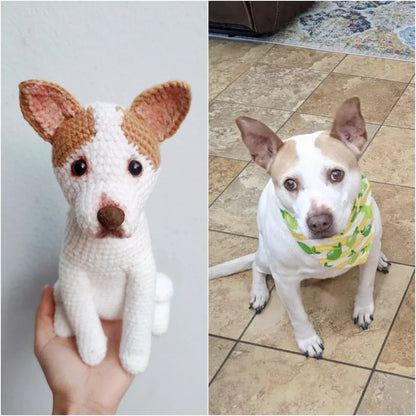 Personalized Crochet Pet Doll – Handmade Plush Replica of Your Pet